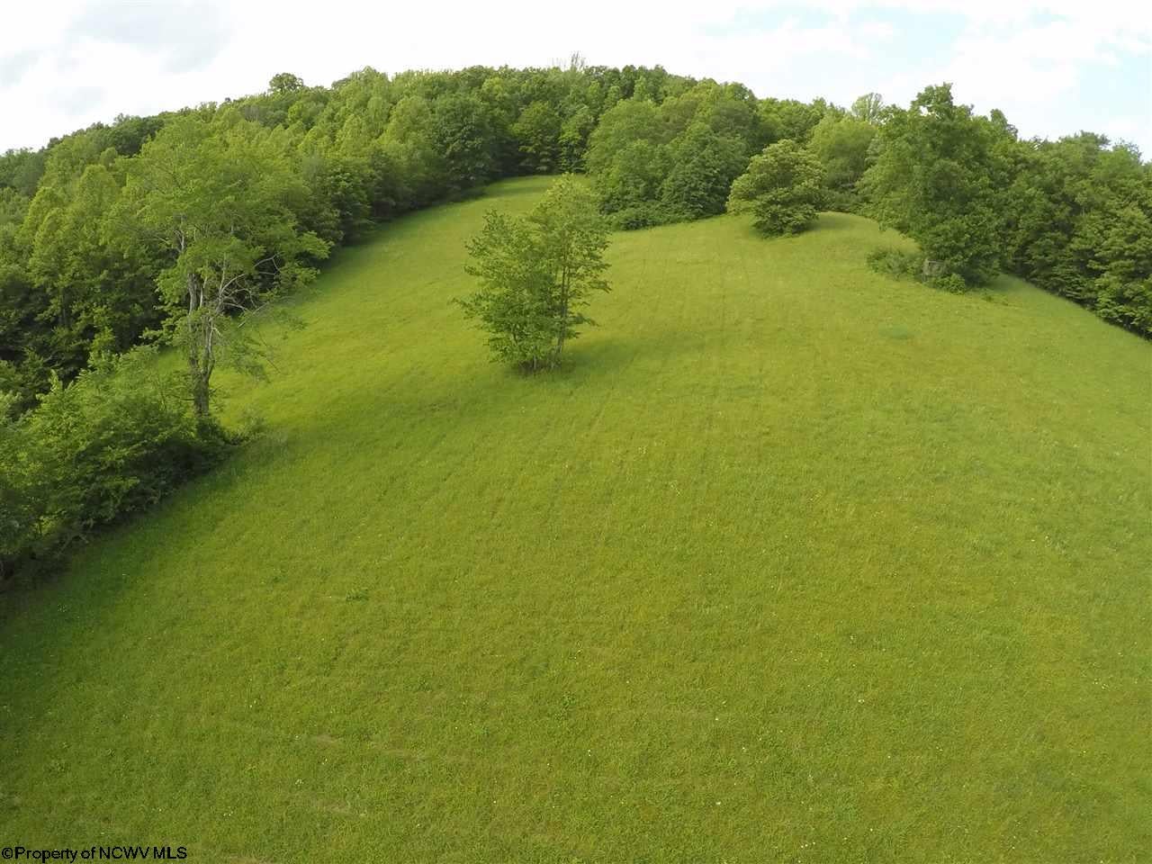923 Turner Road Grafton, WV 26354 - Photo 2 of 20 Gallery Image 2