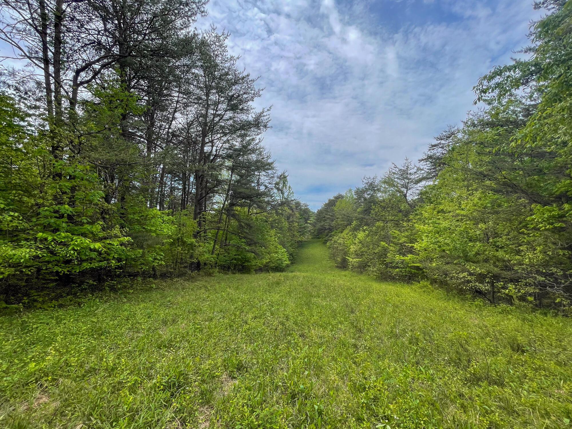 638 Sam Jones Road Wheelersburg, OH 45694 - Photo 14 of 17 IMG_6112