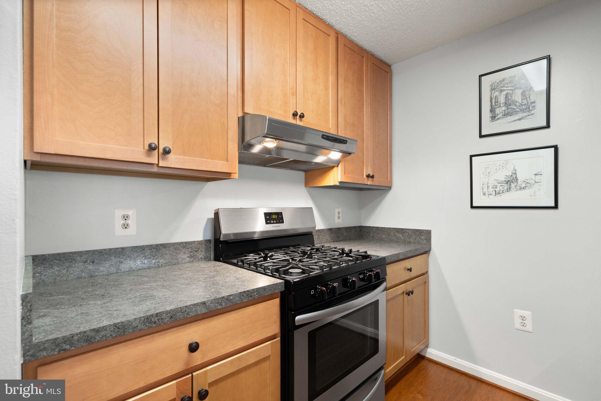 20958 Timber Ridge Terrace, Unit 101 Ashburn, VA 20147 - Photo 12 of 22 Gallery Image 12