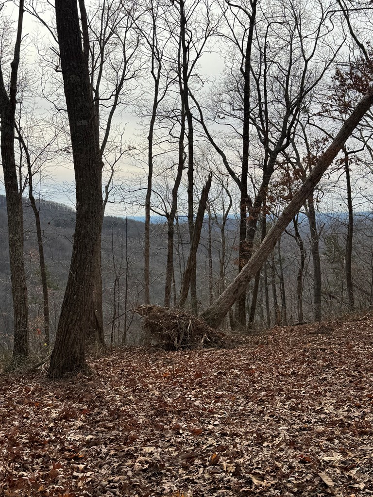 Lot 109 Folkstone Road Jasper, GA 30143 - Photo 4 of 11