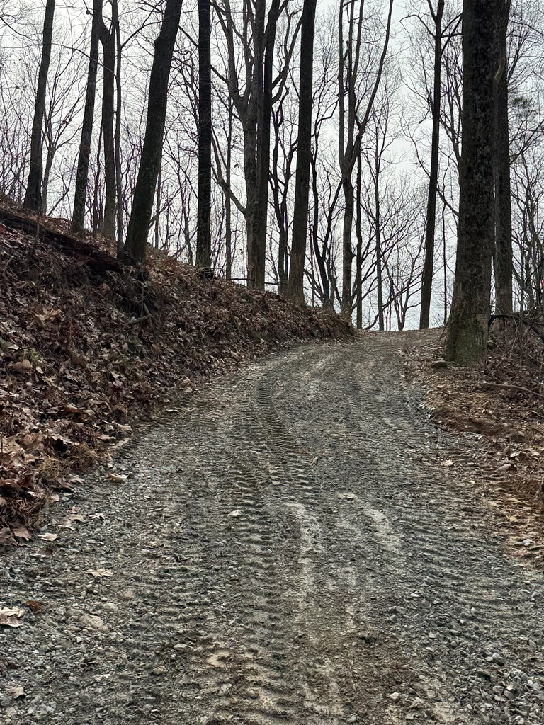 Lot 109 Folkstone Road Jasper, GA 30143 - Photo 6 of 11