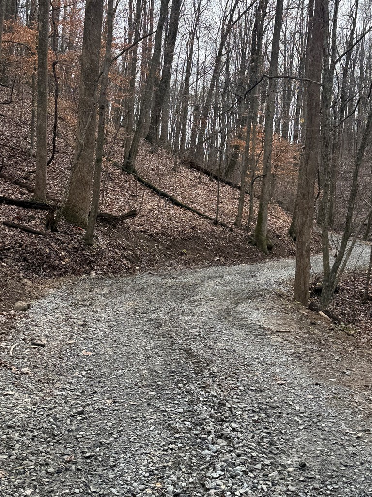 Lot 109 Folkstone Road Jasper, GA 30143 - Photo 7 of 11