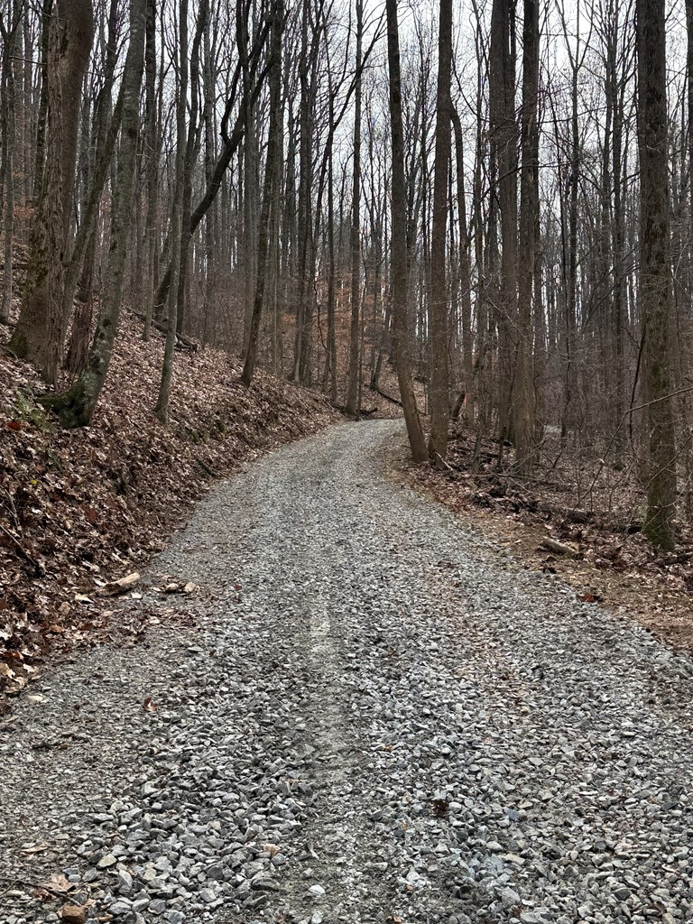 Lot 109 Folkstone Road Jasper, GA 30143 - Photo 8 of 11