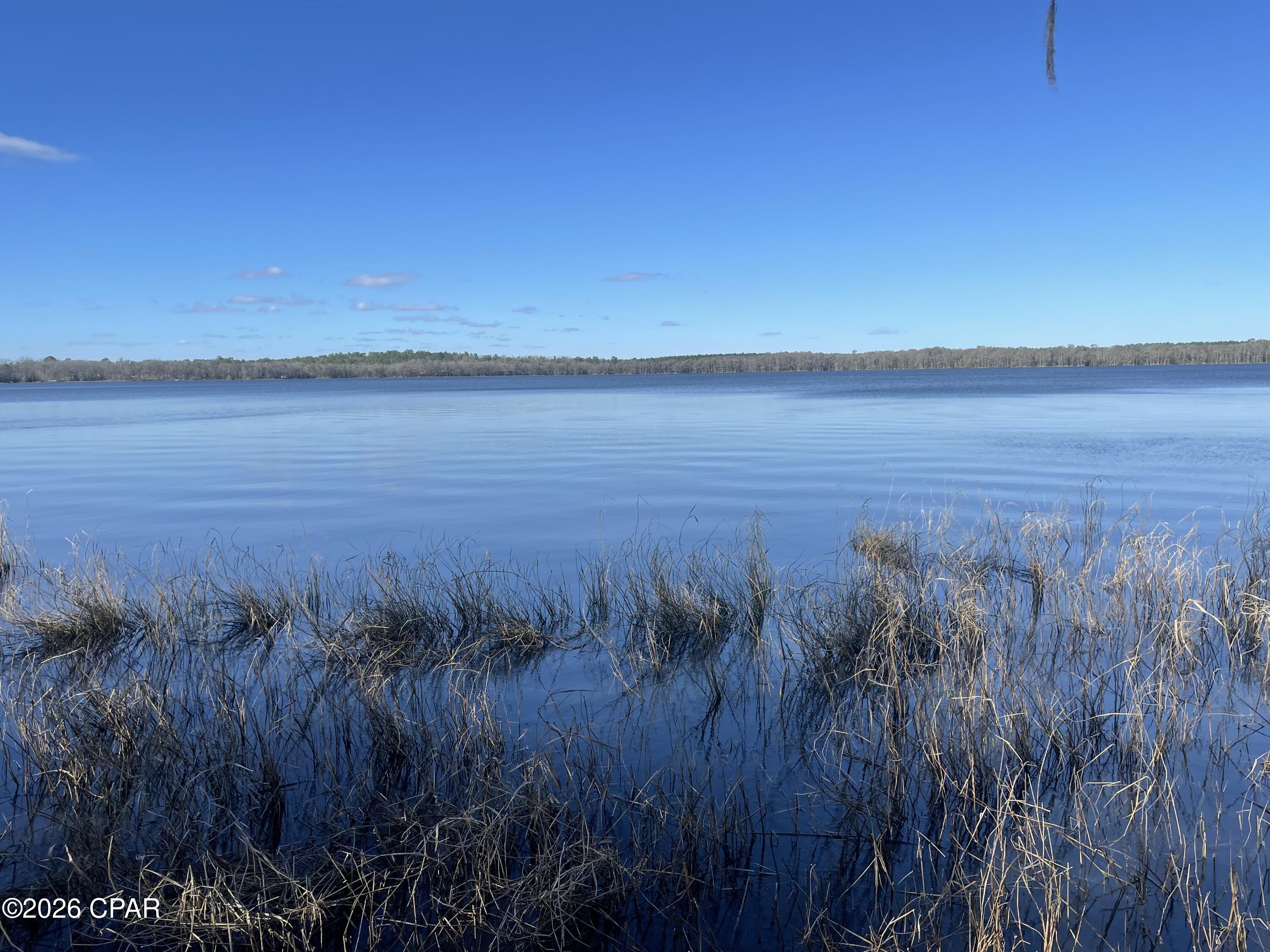 3902 Union Hill Road Caryville, FL 32427 - Photo 4 of 12