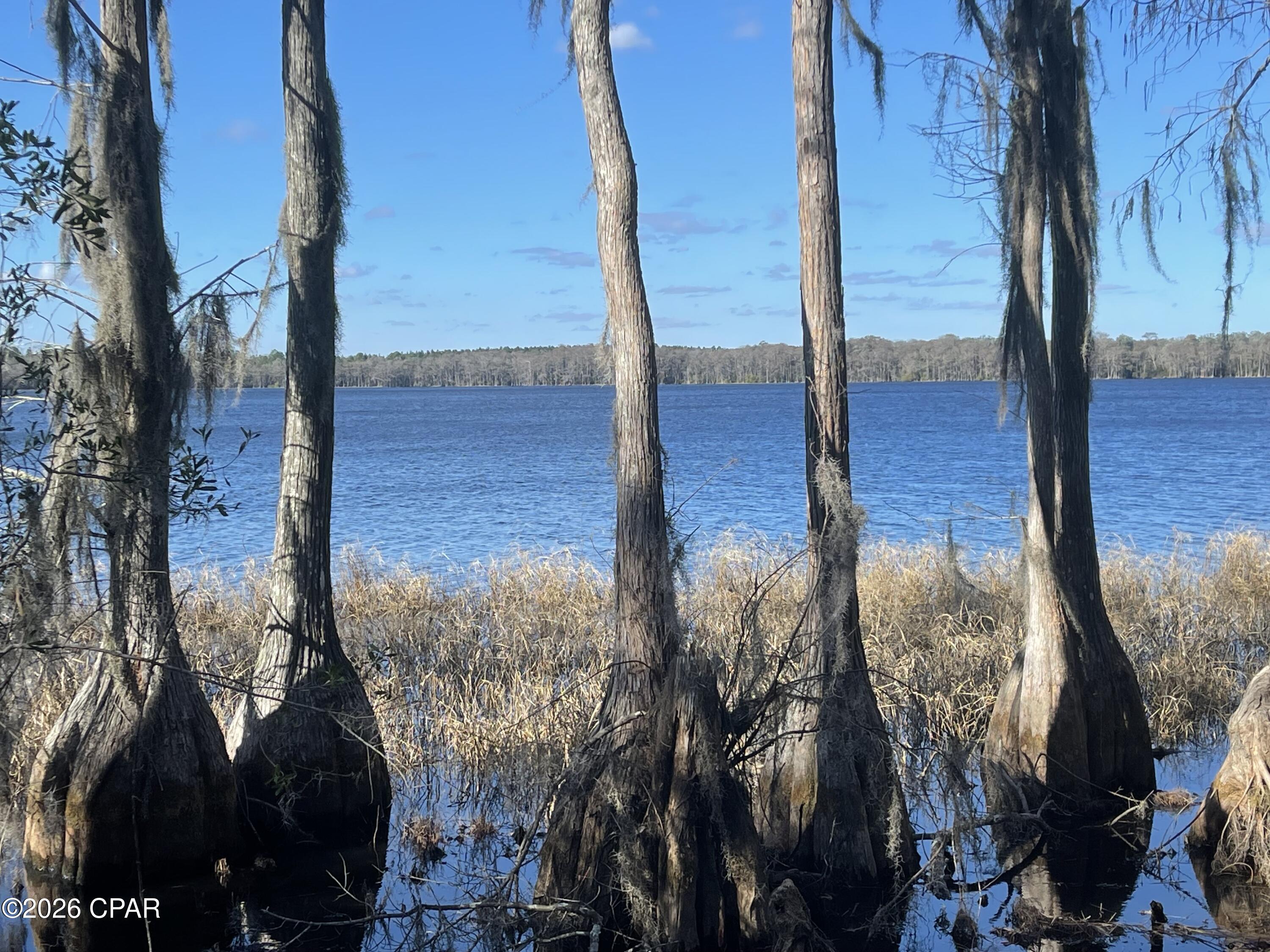 3902 Union Hill Road Caryville, FL 32427 - Photo 5 of 12