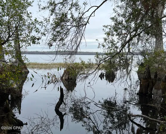 $650,000 | 3902 Union Hill Road, Caryville, FL 32427