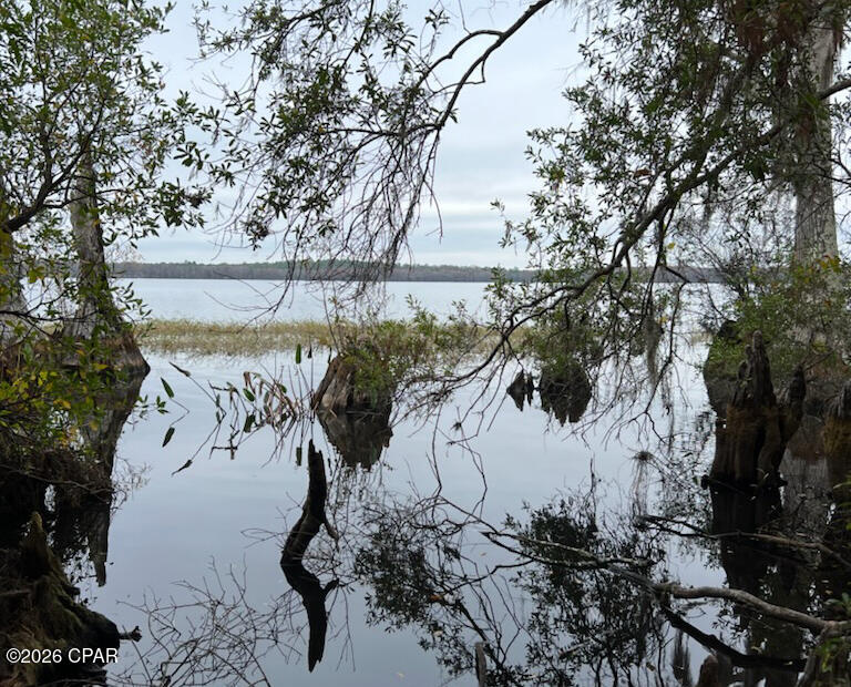 3902 Union Hill Road Caryville, FL 32427 - Photo 6 of 12