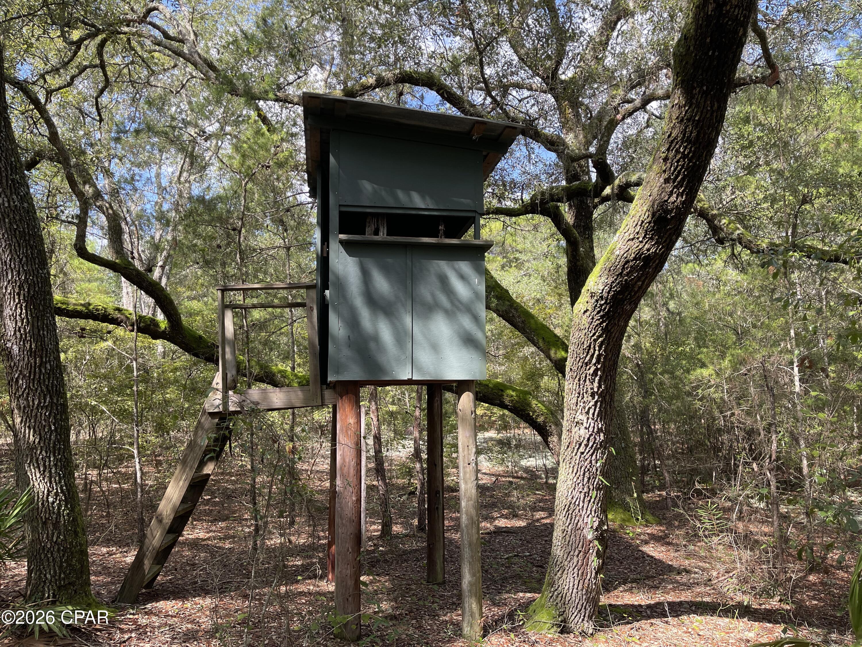 3902 Union Hill Road Caryville, FL 32427 - Photo 8 of 12