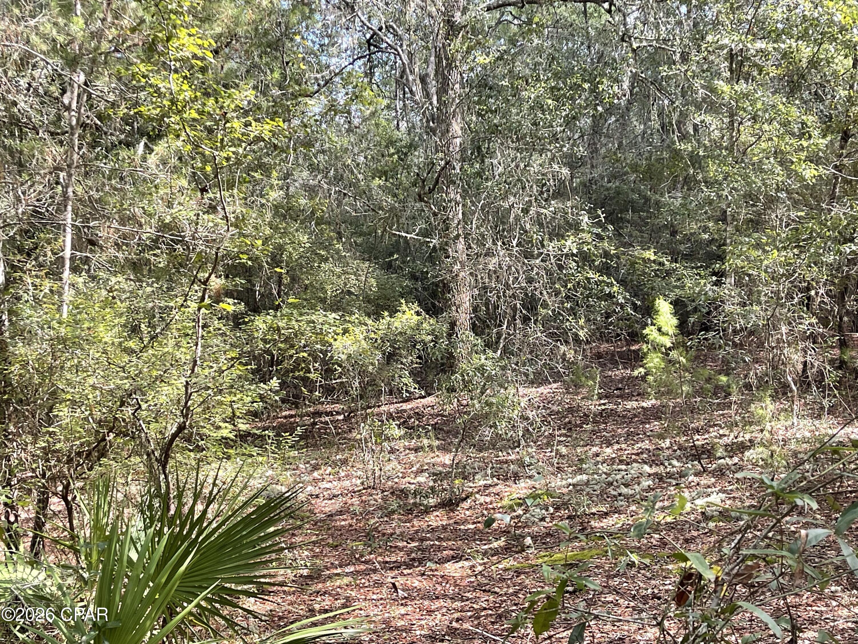 3902 Union Hill Road Caryville, FL 32427 - Photo 9 of 12