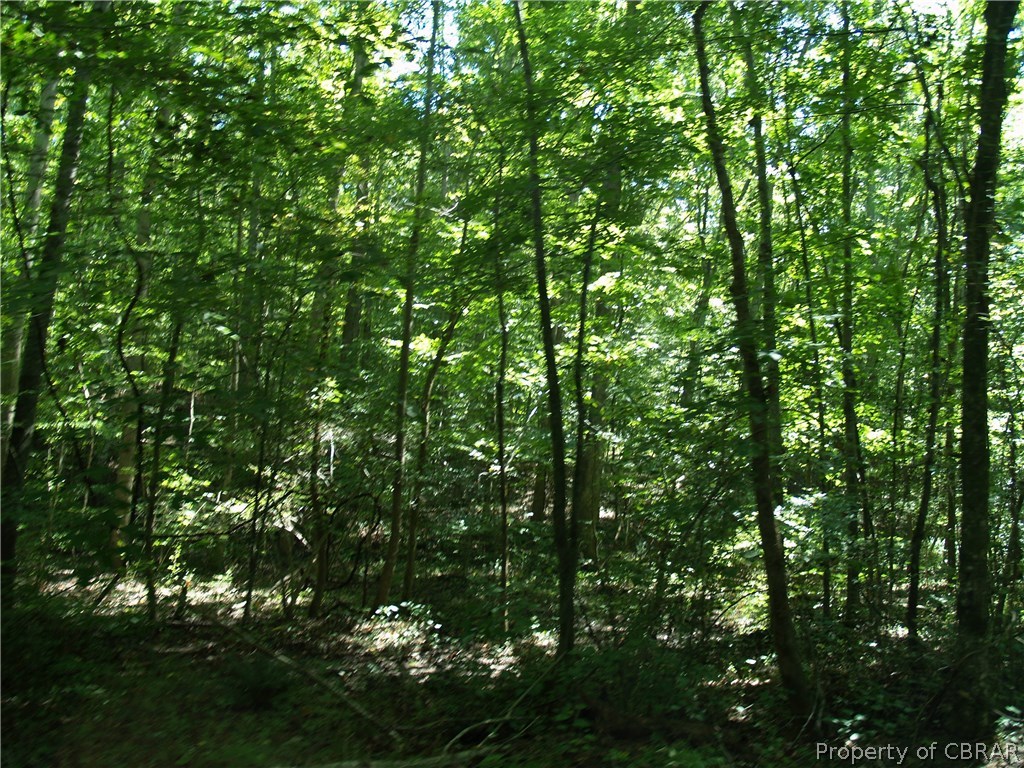 24-134 Spring Hill Farm Road Gloucester, VA 23061 - Photo 4 of 4