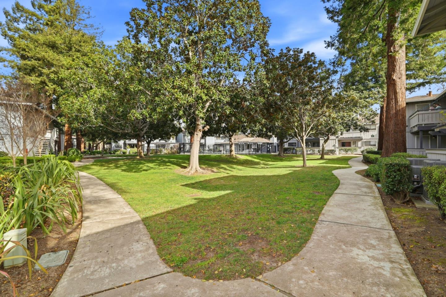 4013 Ralston Common Fremont, CA 94538 - Photo 31 of 40 a view of a park with large trees