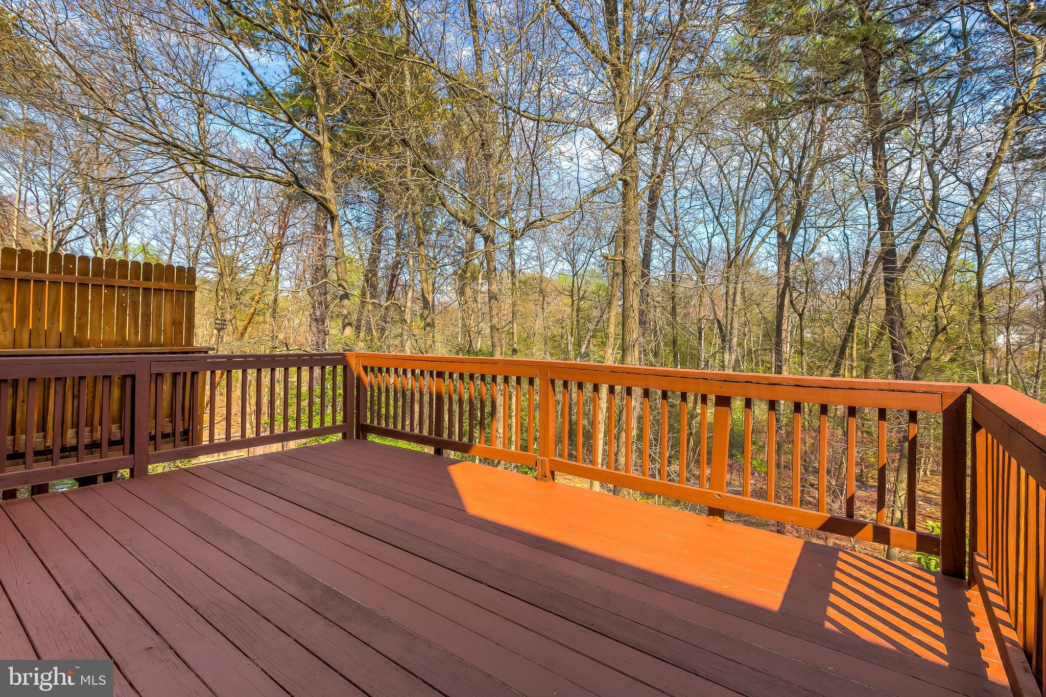 324 White Rocks Court Pasadena, MD 21122 - Photo 35 of 39 Freshly Painted Deck