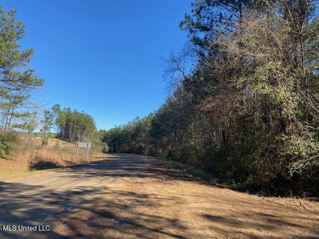 610 Mt Zion Road Northwest Wesson, MS 39191 - Photo 1 of 10 land-for-sale-lincoln-county-ms (1)