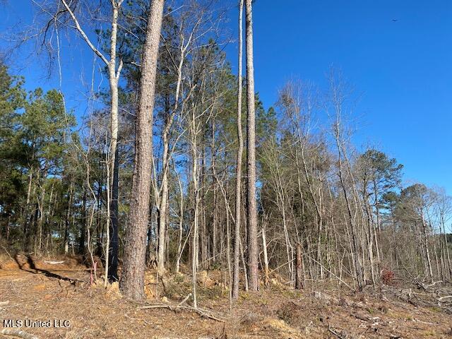 610 Mt Zion Road Northwest Wesson, MS 39191 - Photo 3 of 10 land-for-sale-lincoln-county-ms (3)