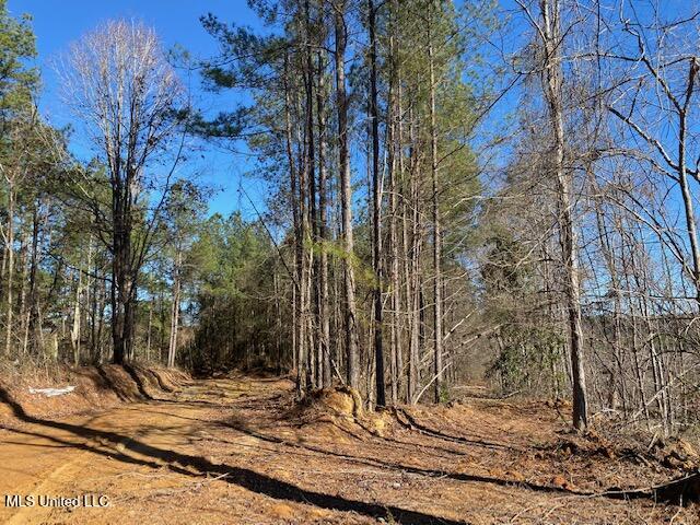 610 Mt Zion Road Northwest Wesson, MS 39191 - Photo 4 of 10 land-for-sale-lincoln-county-ms (4)