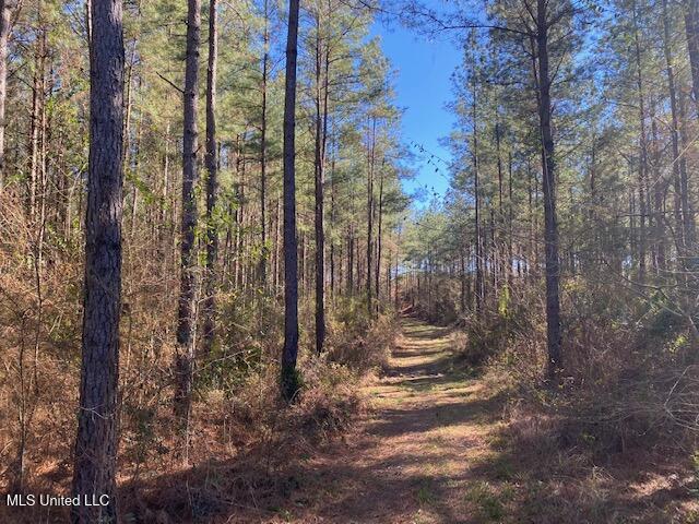 610 Mt Zion Road Northwest Wesson, MS 39191 - Photo 7 of 10 land-for-sale-lincoln-county-ms (7)