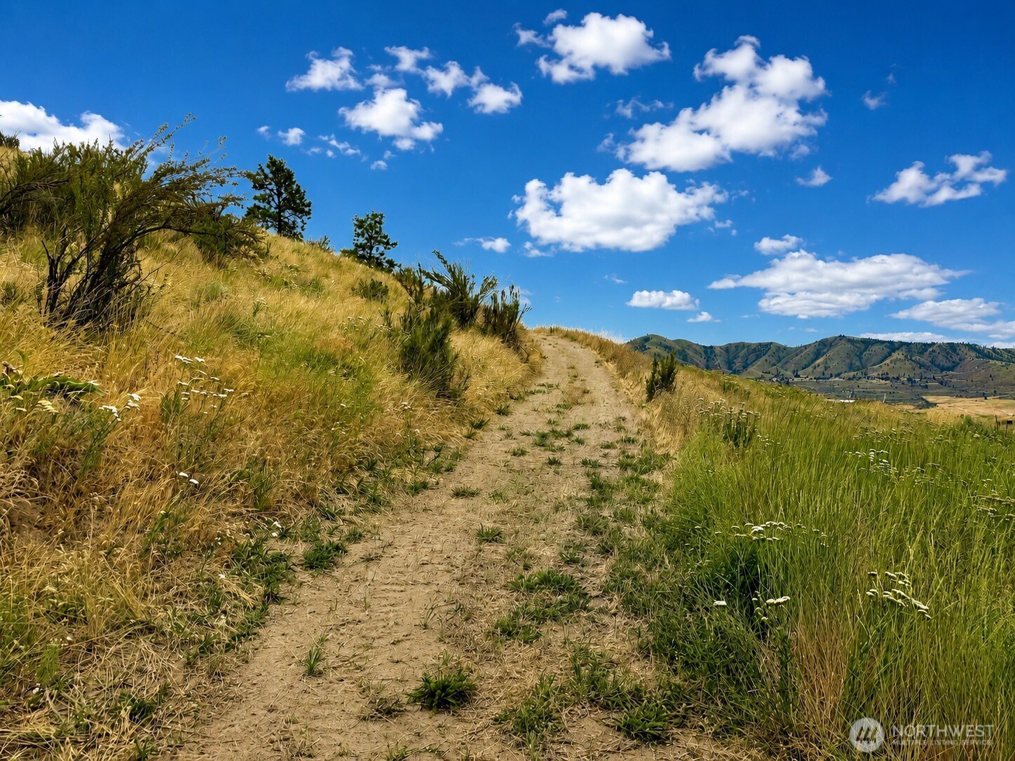 0 Boyd Road Chelan, WA 98816 - Photo 2 of 11