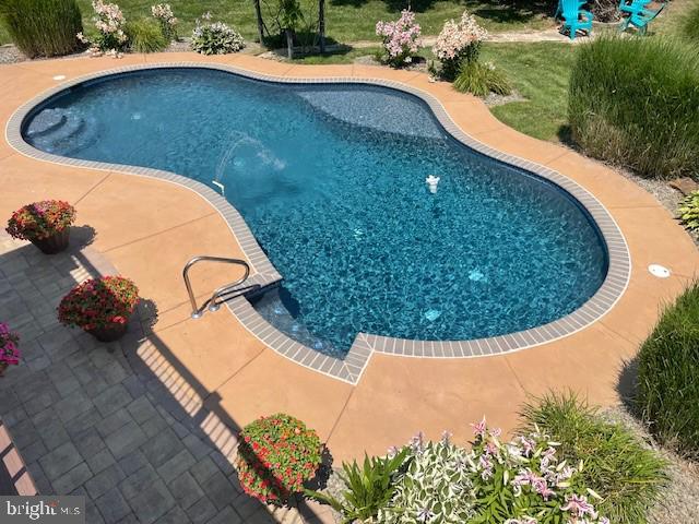 784 Olivia Way Pasadena, MD 21122 - Photo 32 of 38 a view of a swimming pool with a yard