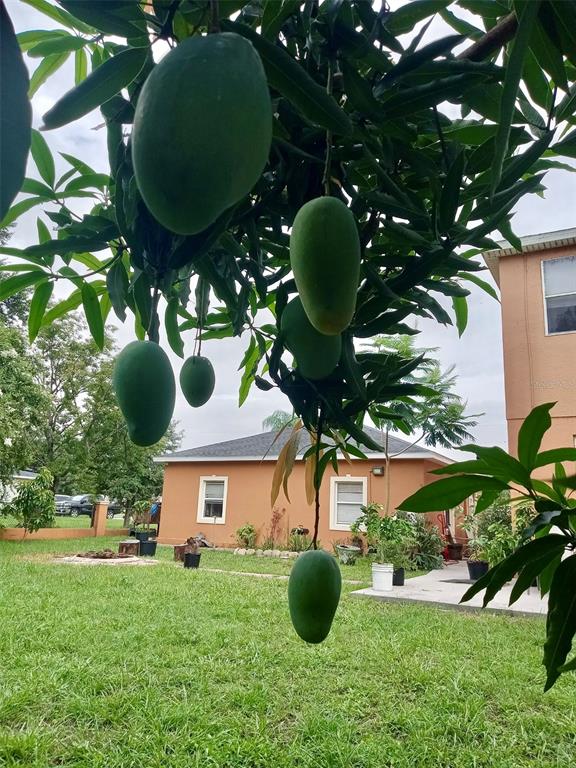 13315 Daffodil Way Astatula, FL 34705 - Photo 26 of 29 a view of entryway with garden