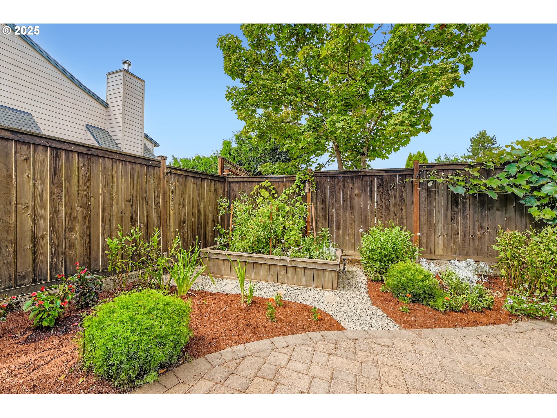 716 Roxe Drive Forest Grove, OR 97116 - Photo 29 of 37 a backyard of a house with lots of green space