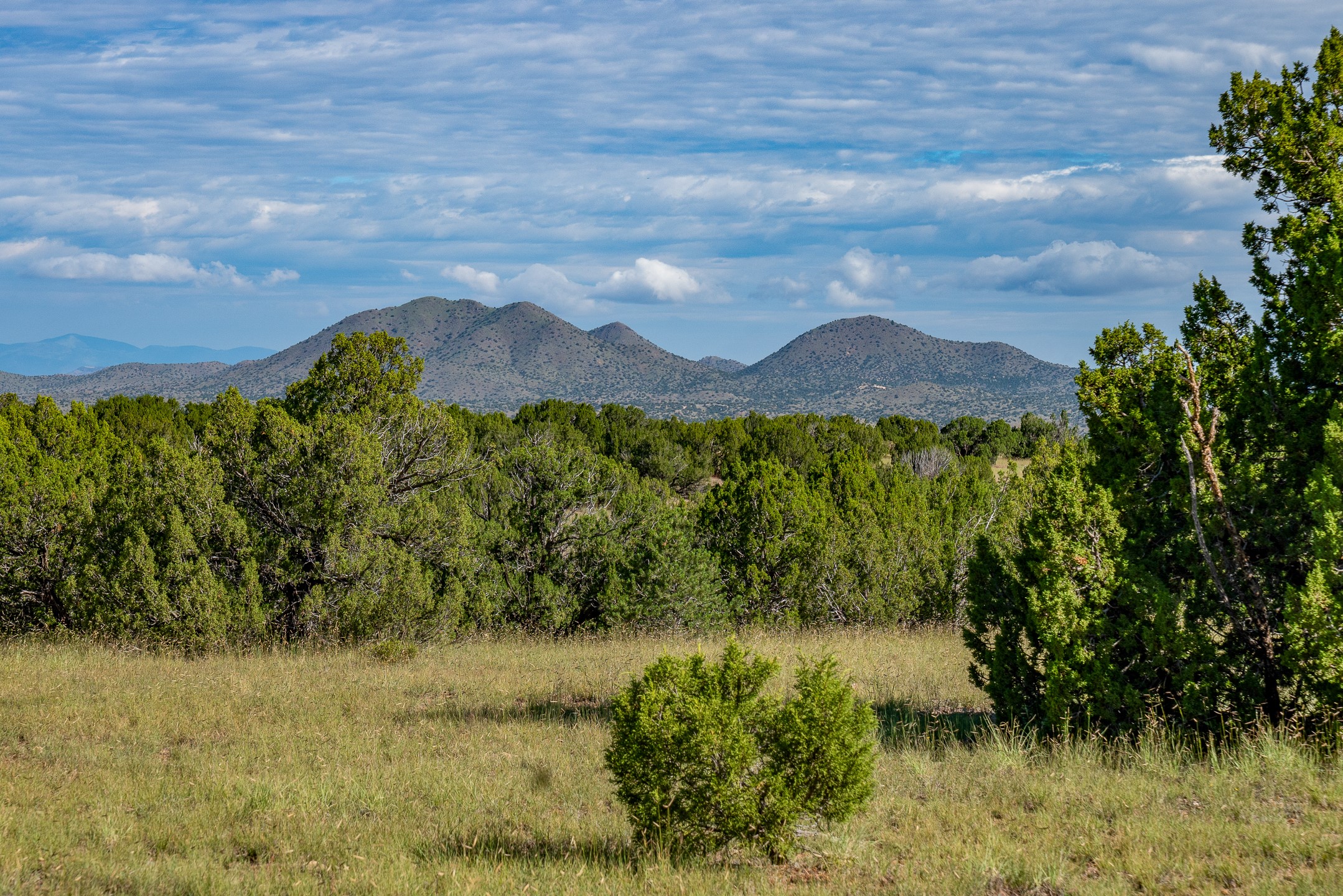 95 Grenfell Ranch Road Cerrillos, NM 87010 - Photo 35 of 47