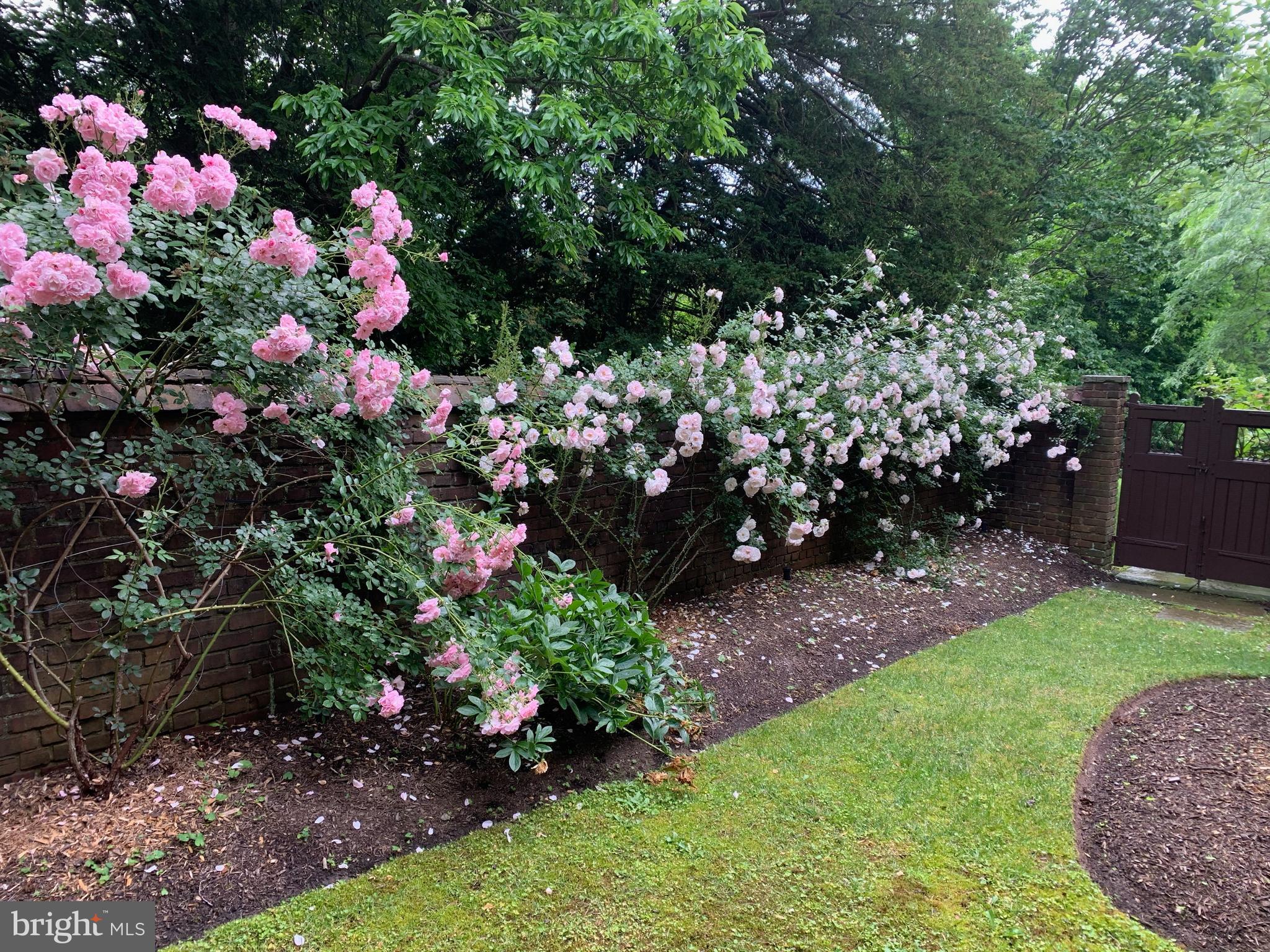 94 N Road Princeton, NJ 08540 - Photo 52 of 60