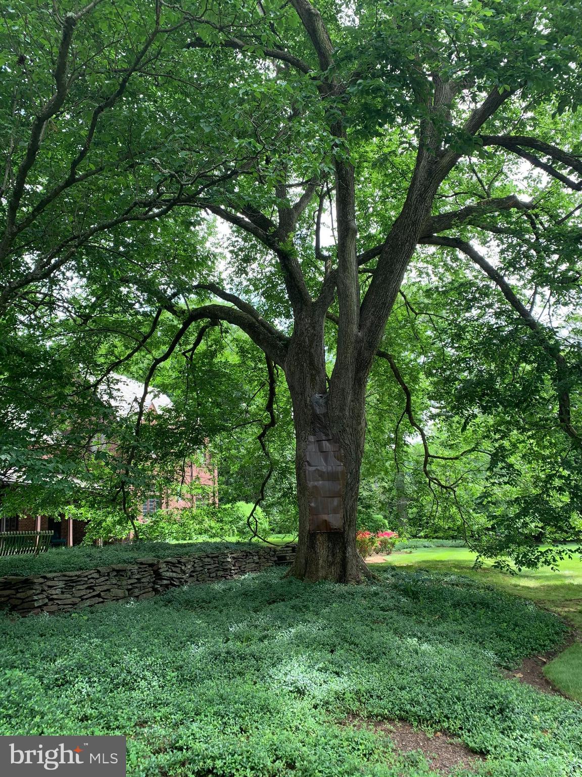 94 N Road Princeton, NJ 08540 - Photo 54 of 60