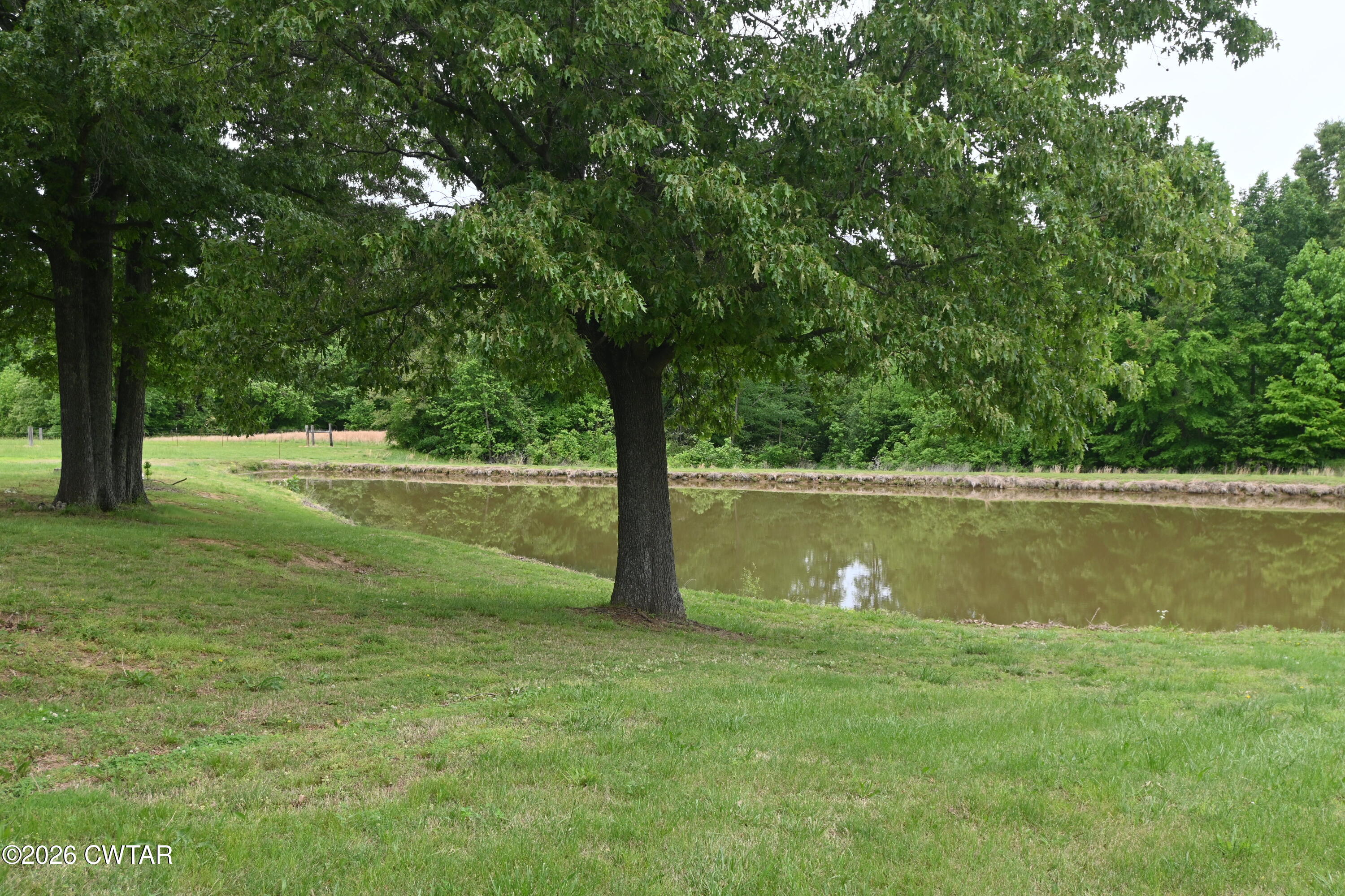 648 Old Dyersburg Road Dyer, TN 38330 - Photo 18 of 20 DSC_0374