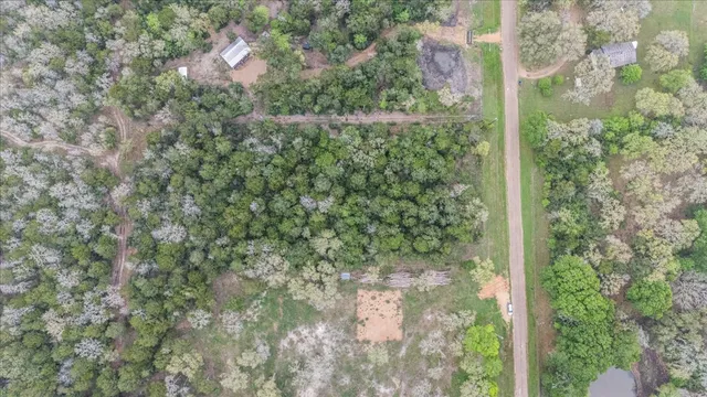 a view of a forest with a street sign