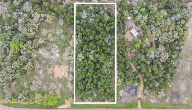 a view of a yard with plants and brick wall