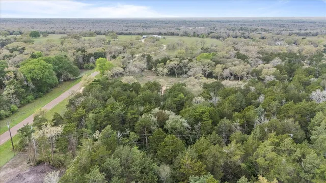 a view of a field with a forest
