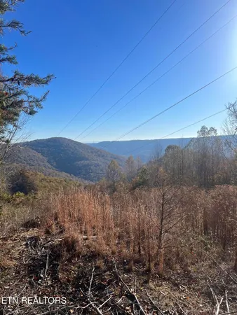 $275,000 | Hatfield Creek Road, Pioneer, TN 37847