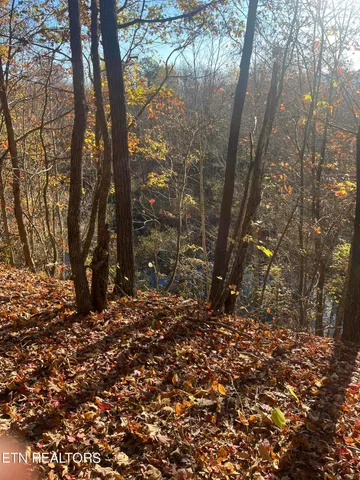 $300,000 | Hatfield Creek Road, Pioneer, TN 37847
