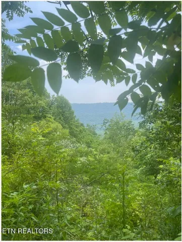 $300,000 | Hatfield Creek Road, Pioneer, TN 37847