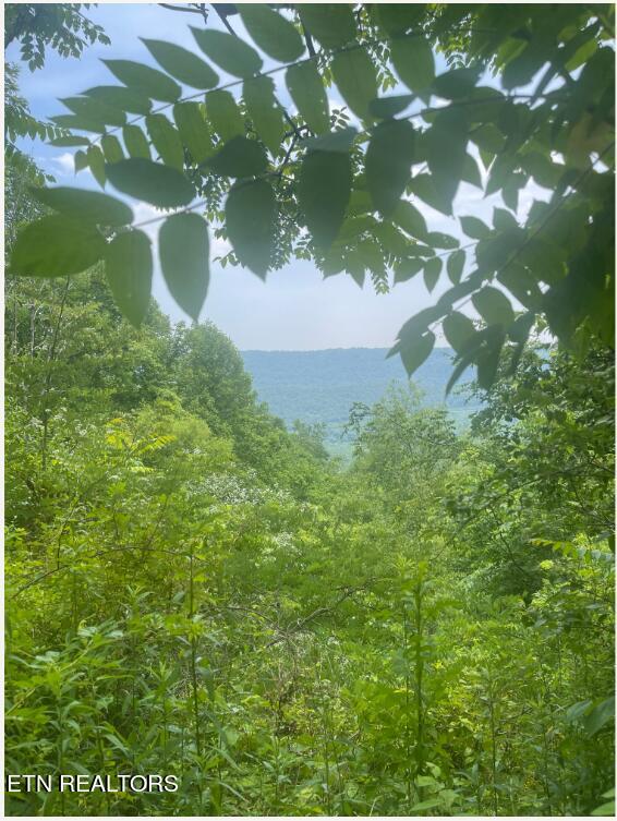 Hatfield Creek Road Pioneer, TN 37847 - Photo 2 of 11 Capture 1