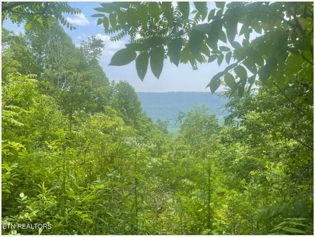 $300,000 | Hatfield Creek Road, Pioneer, TN 37847