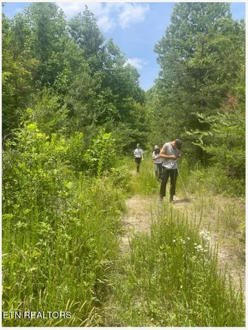 $300,000 | Hatfield Creek Road, Pioneer, TN 37847