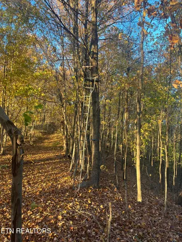 $300,000 | Hatfield Creek Road, Pioneer, TN 37847