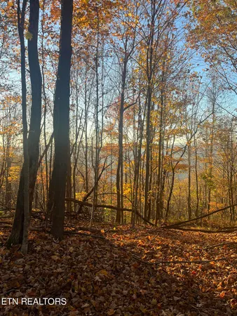 $275,000 | Hatfield Creek Road, Pioneer, TN 37847