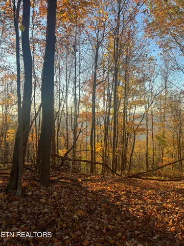 $300,000 | Hatfield Creek Road, Pioneer, TN 37847