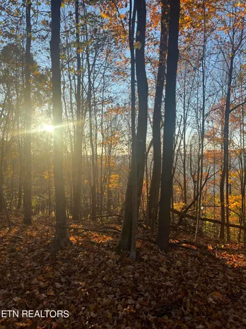 $300,000 | Hatfield Creek Road, Pioneer, TN 37847