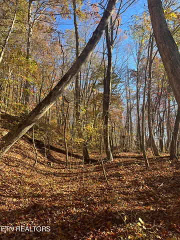 $300,000 | Hatfield Creek Road, Pioneer, TN 37847