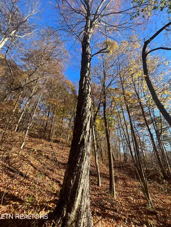 $275,000 | Hatfield Creek Road, Pioneer, TN 37847