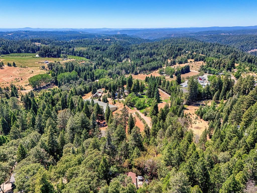 2585 Crystal Springs Road Camino, CA 95709 - Photo 89 of 89
