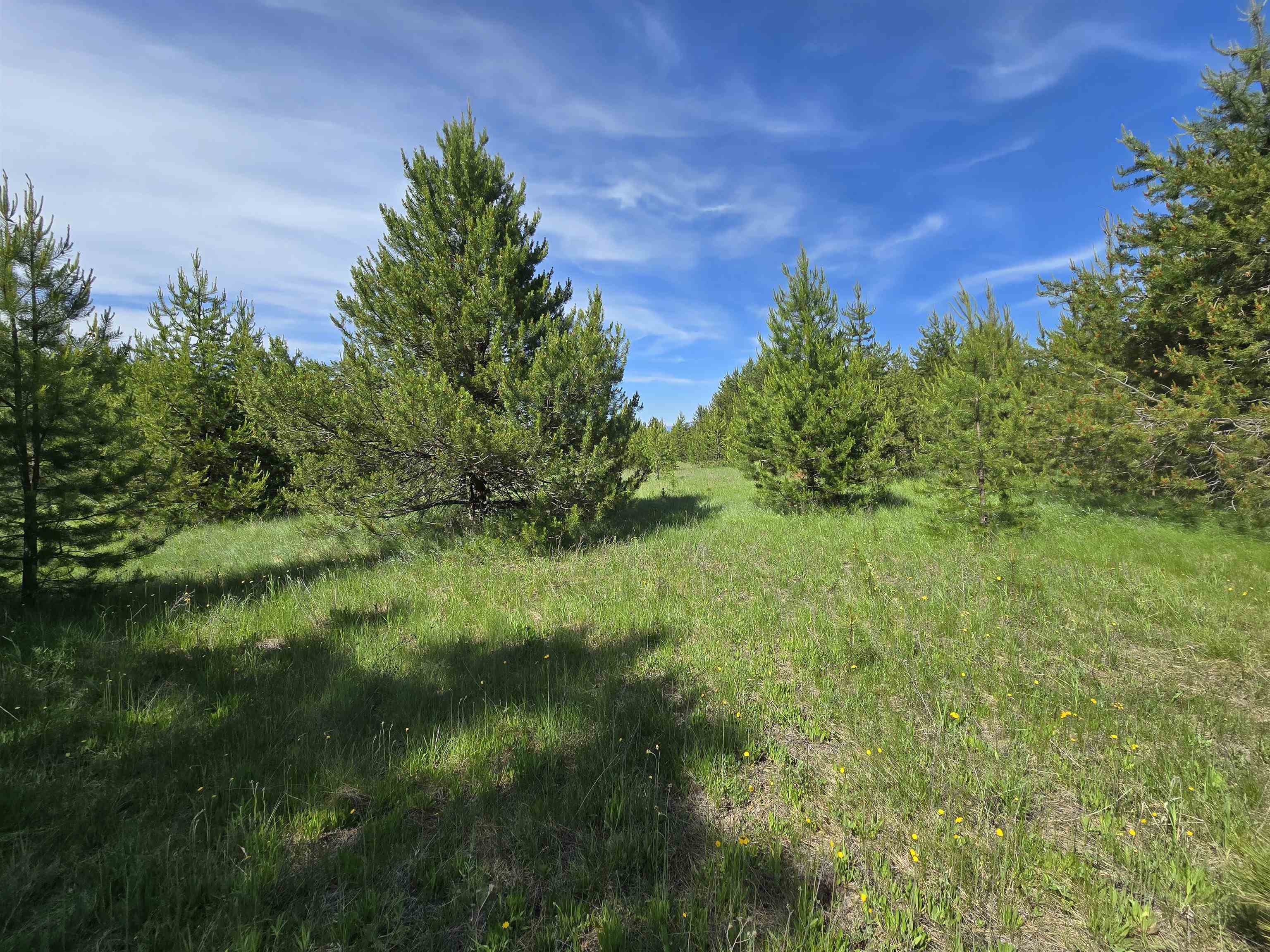 2040 Westside Calispel Road Usk, WA 99180 - Photo 15 of 26