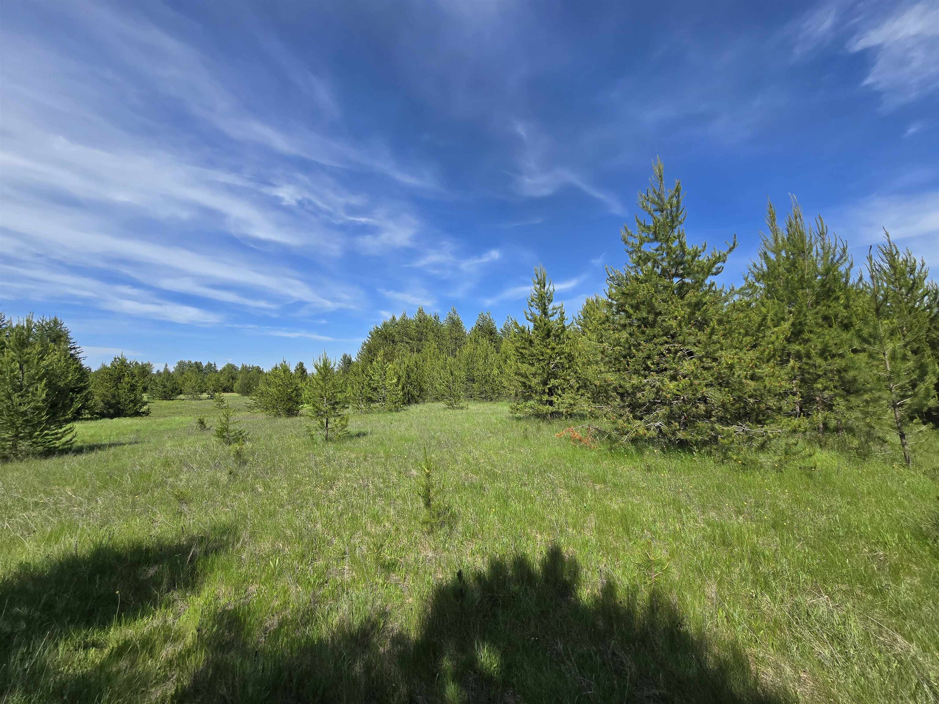 2040 Westside Calispel Road Usk, WA 99180 - Photo 16 of 26