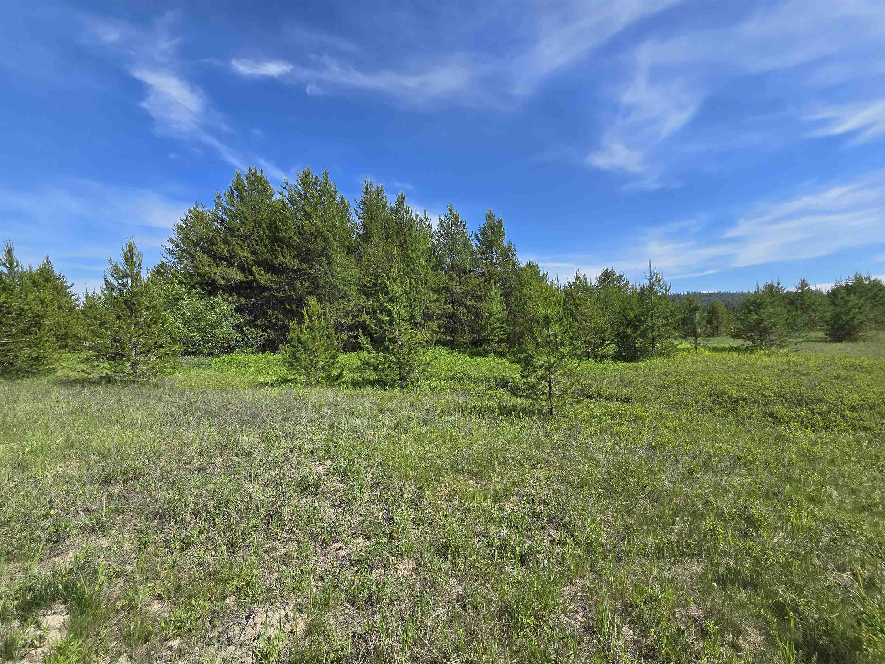 2040 Westside Calispel Road Usk, WA 99180 - Photo 19 of 26