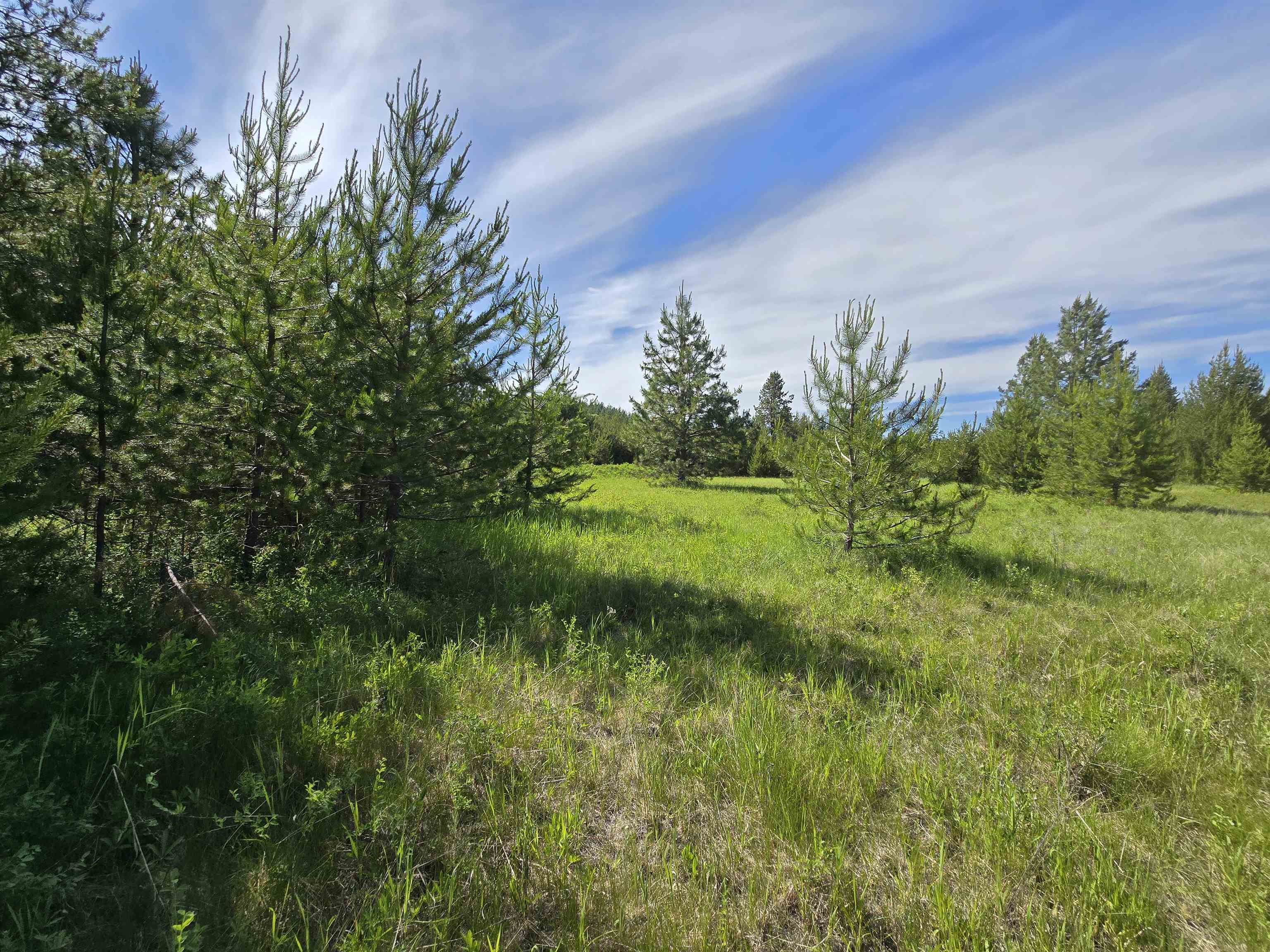 2040 Westside Calispel Road Usk, WA 99180 - Photo 20 of 26