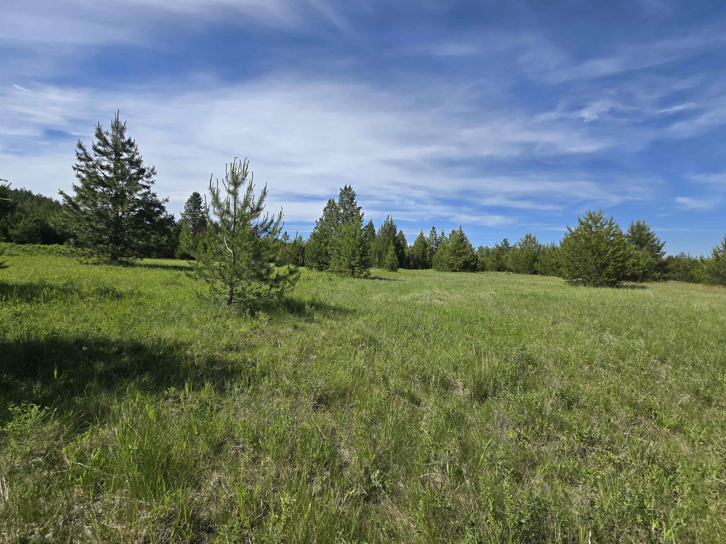 2040 Westside Calispel Road Usk, WA 99180 - Photo 21 of 26