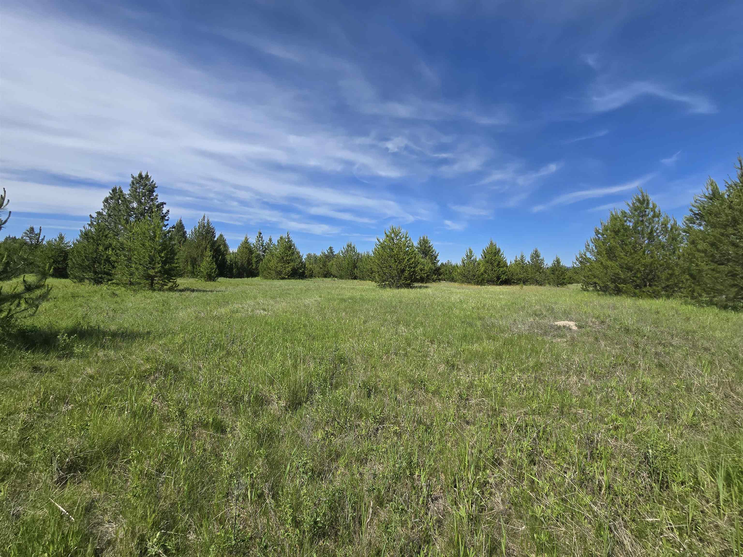 2040 Westside Calispel Road Usk, WA 99180 - Photo 22 of 26